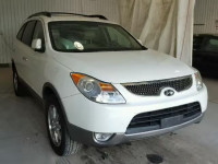 2010 HYUNDAI VERACRUZ G KM8NU4CCXAU129456