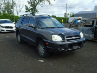 2005 HYUNDAI SANTA FE KM8SB13D55U899828