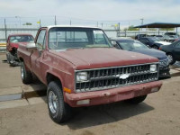 1981 CHEVROLET C10 1GCCC14D9BF370869