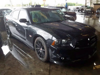 2013 DODGE CHARGER SU 2C3CDXGJ9DH533754
