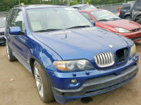 2006 BMW X5 4.8IS 5UXFA93596LE84245