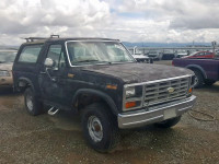 1983 FORD BRONCO U10 1FMEU15F7DLA53744