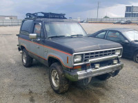 1984 FORD BRONCO II 1FMCU14S6EUB07519