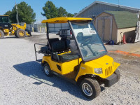 2010 GOLF CART 5TSTE2432AG121976