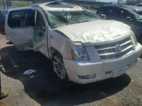 2014 CADILLAC ESCALADE P 1GYS4CEF7ER135923