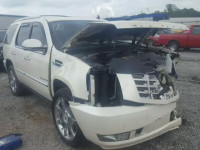 2010 CADILLAC ESCALADE P 1GYUCCEF6AR211959