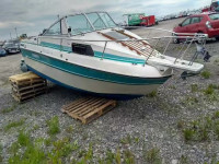 1989 STNG BOAT ZPR90397L788