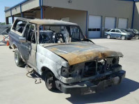 1989 FORD BRONCO U10 1FMEU15H9KLA11784