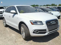 2014 AUDI SQ5 PREMIU WA1CGAFP2EA055676