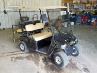 2006 GOLF CART 2441551