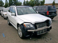 2013 MERCEDES-BENZ GLK 250 BL WDCGG0EB0DG134714