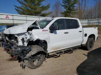 2020 CHEVROLET 1500 SILVE 1GCPYCEF4LZ372060