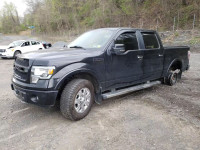 2012 FORD F150 4WD 1FTFW1ET7CFA37842