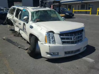 2011 CADILLAC ESCALADE E 1GYS4KEF6BR204459