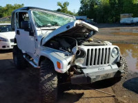 2006 JEEP WRANGLER 1J4FA39S66P751997