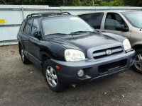 2006 HYUNDAI SANTA FE KM8SC13D36U057570