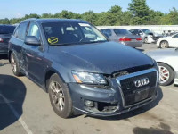 2009 AUDI Q5 WA1KK78R49A037309