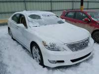 2010 LEXUS LS 460 JTHBL5EF6A5093135