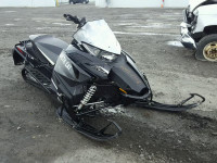 2013 ARTC SNOWMOBILE 4UF13SNW7DT124445