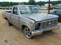 1981 FORD F100 1FTCF10E9BNA88954