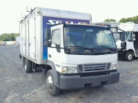 2007 FORD LOW CAB FO 3FRLL45Z97V568402