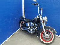 2009 HARLEY-DAVIDSON FLSTN 1HD1JD5109Y042403