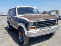 1981 FORD BRONCO U10 1FMDU15F4BLA62040