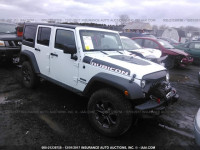 2017 JEEP WRANGLER 1C4BJWFGXHL697782