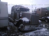 2006 KENWORTH W900 1XKWDB9X56R111565