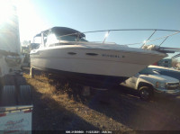 1989 SEA RAY OTHER  SERT8990A989