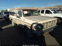 1978 CHEVY C20  CCL248S104628