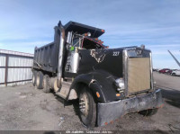 1996 KENWORTH W900 W900 1XKWDB9X0TS720955