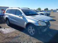 2007 MERCEDES-BENZ GL 450 4JGBF71E87A118484