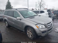 2007 MERCEDES-BENZ GL 450 4JGBF71E87A195646