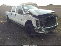 2015 FORD SUPER DUTY F-350 SRW PLATINUM/XL/XLT/LARIAT 1FT7W3BT3FEB32252