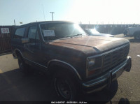 1986 FORD BRONCO U100 1FMDU15H5GLB18916