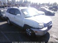 2006 Hyundai Santa Fe GLS/LIMITED KM8SC13D96U034648