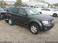 2008 Ford Escape 1FMCU03Z48KE46983