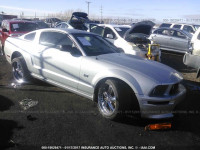2006 FORD MUSTANG 1ZVHT82H765196460
