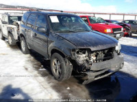 2007 Ford Escape XLT 1FMYU93107KA03121