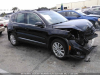 2013 Volkswagen Tiguan S/SE/SEL WVGBV3AX7DW599338