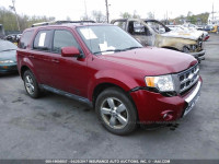 2010 Ford Escape 1FMCU9EG6AKC60948