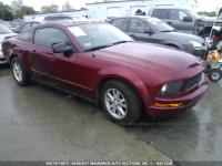 2008 Ford Mustang 1ZVHT80N385115112