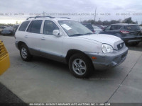 2004 Hyundai Santa Fe KM8SC73E74U587680