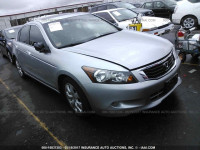 2009 Honda Accord 1HGCP368X9A023219