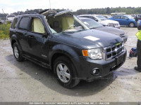 2008 Ford Escape 1FMCU93188KC65206