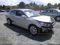 2013 Honda Accord 1HGCR2F73DA275916