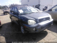 2004 Hyundai Santa Fe KM8SC13E34U817146