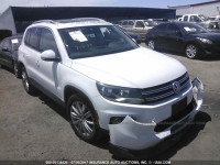 2013 Volkswagen Tiguan S/SE/SEL WVGAV3AX7DW617736