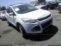 2013 Ford Escape 1FMCU0GXXDUC21071